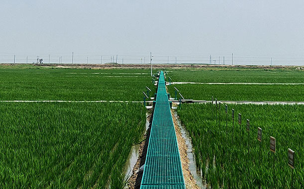 緊固件(標(biāo)準(zhǔn)件)的選用原則